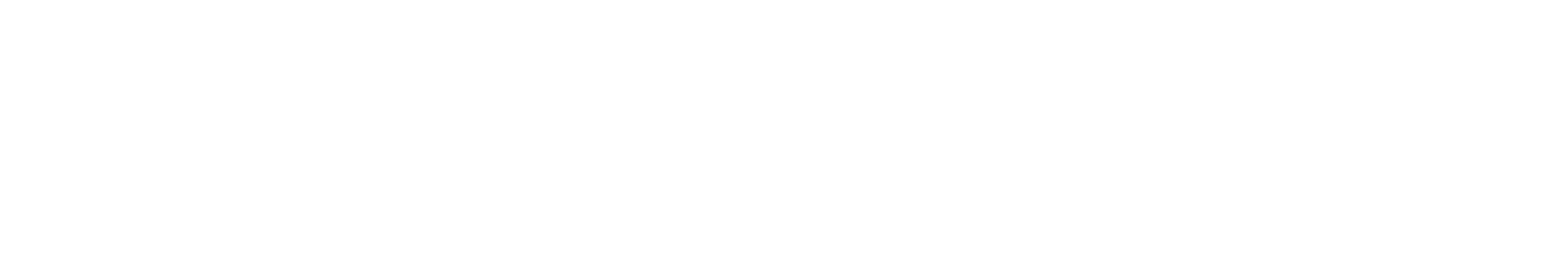 Talentdu wordmark in white on navy