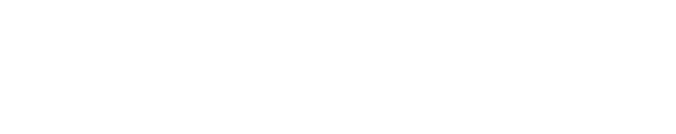 Talentdu